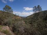 Pinnacles NM 003